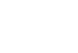 Automotive Study